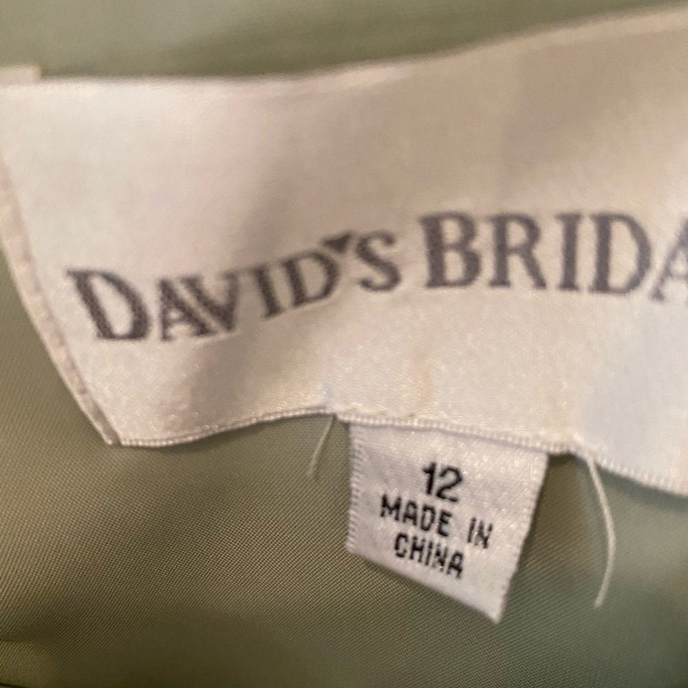 David’s Bridal: Mother of the Bride dress: Size 12 - Picture 9 of 9